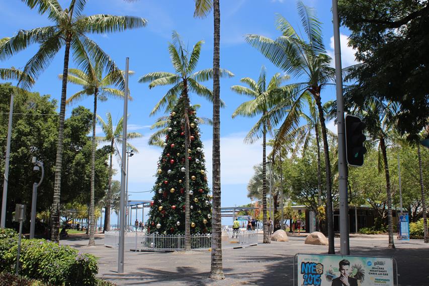 Cairns Reise Fazit