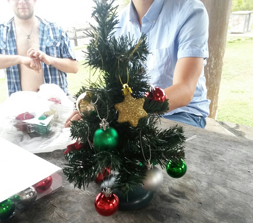 So sah ein Weihnachtsbaum in Australien aus
