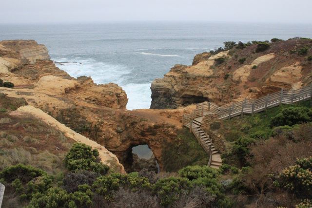 die wilde und raue Natur auf der Ocean Road grün und widl schlängelt sich der Weg an der australischen Küste entlang